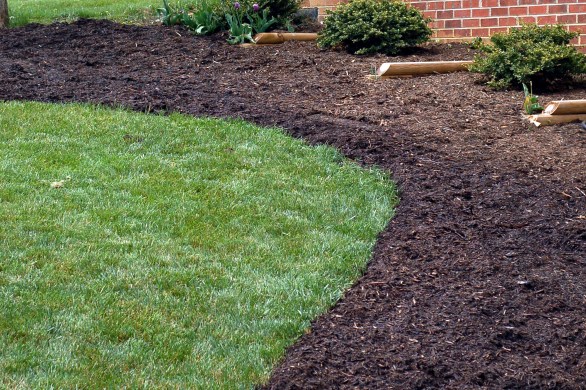 Curved flower bed