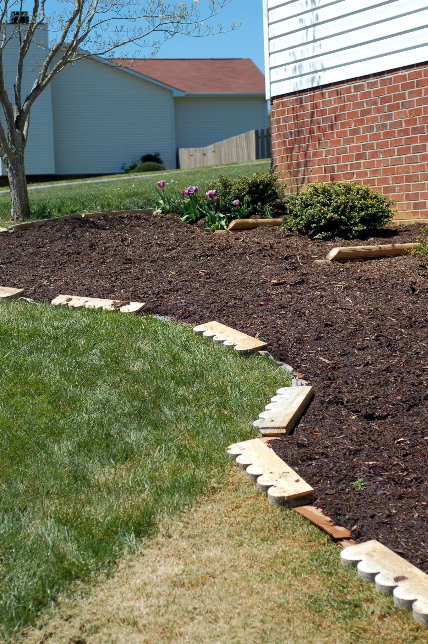 curves of the bed 41