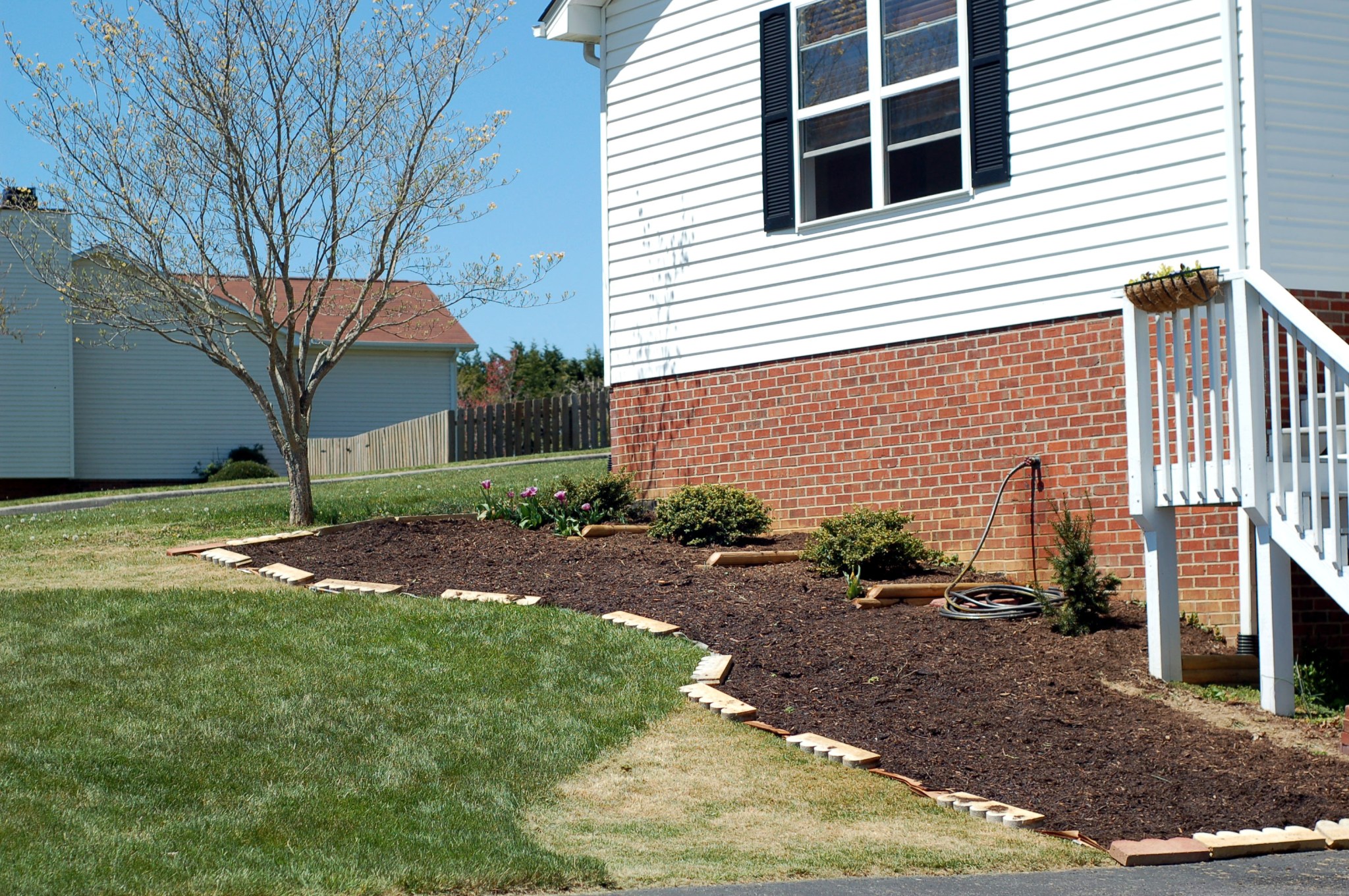 flower bed so far 40