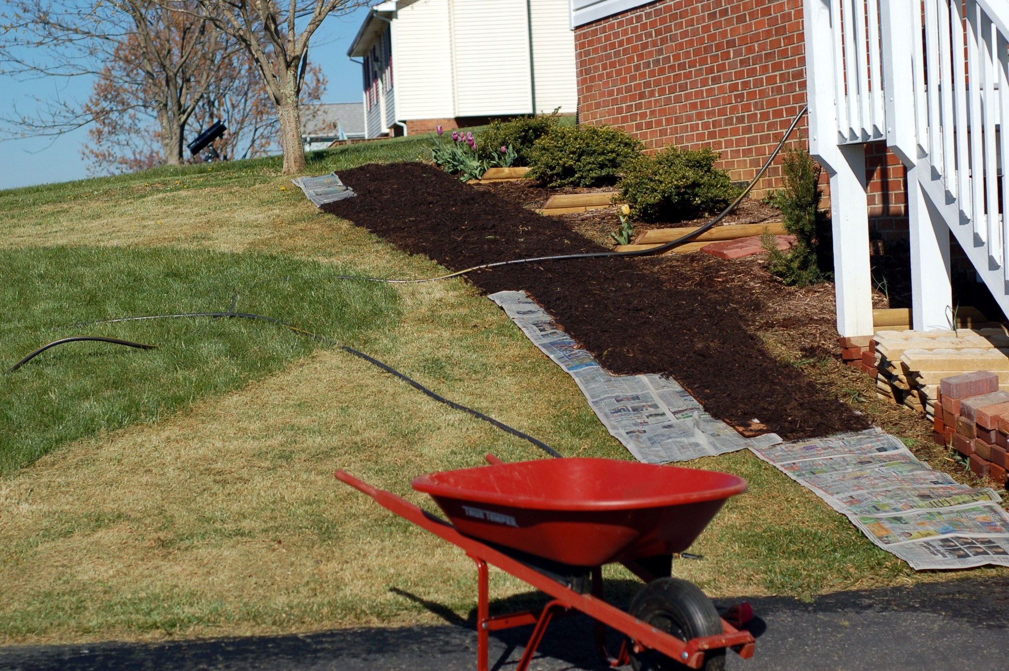 mulch on newspaper 19