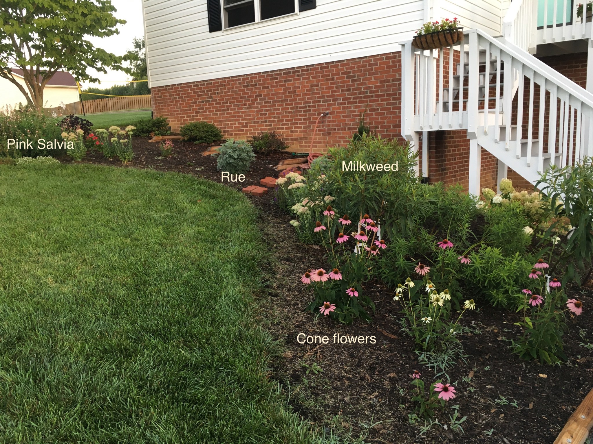 annotated-garden-0063