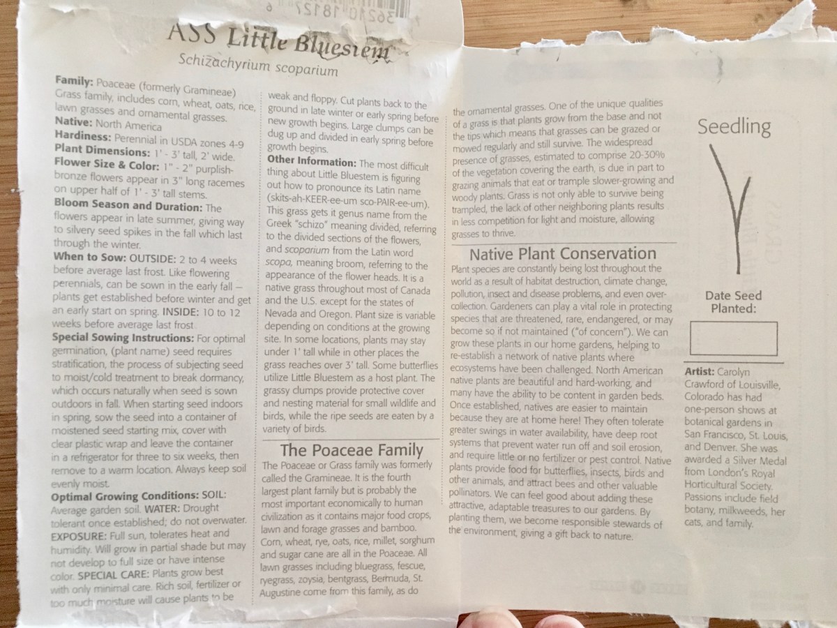 little bluestem instructions