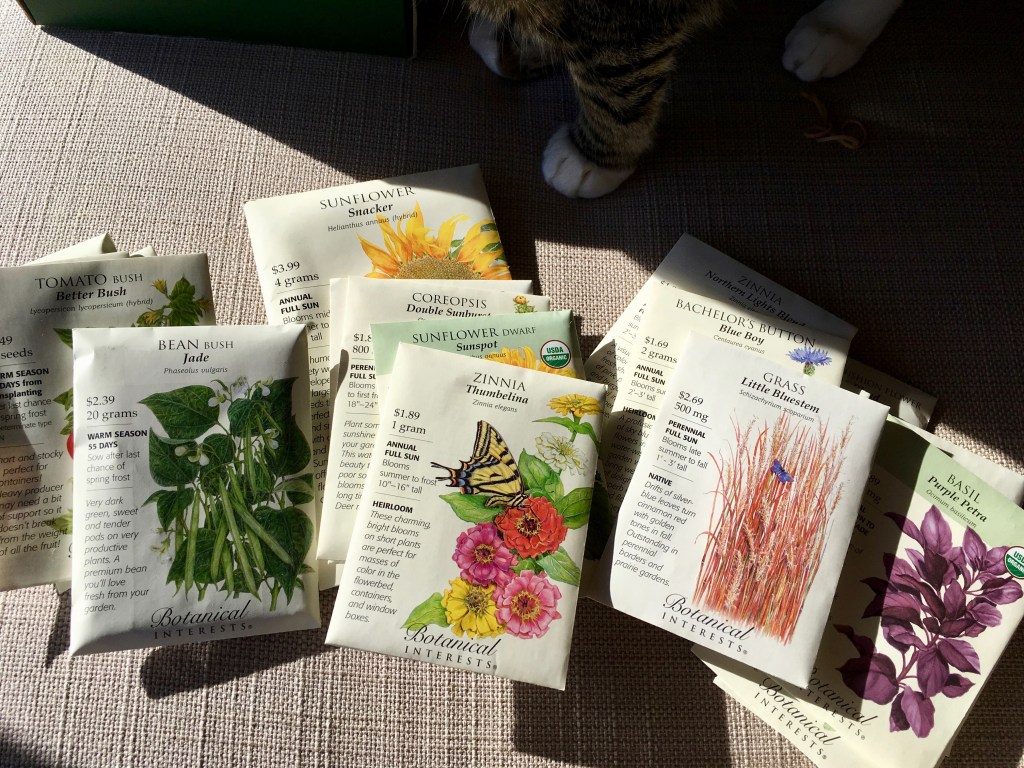 seed packets and cat paws