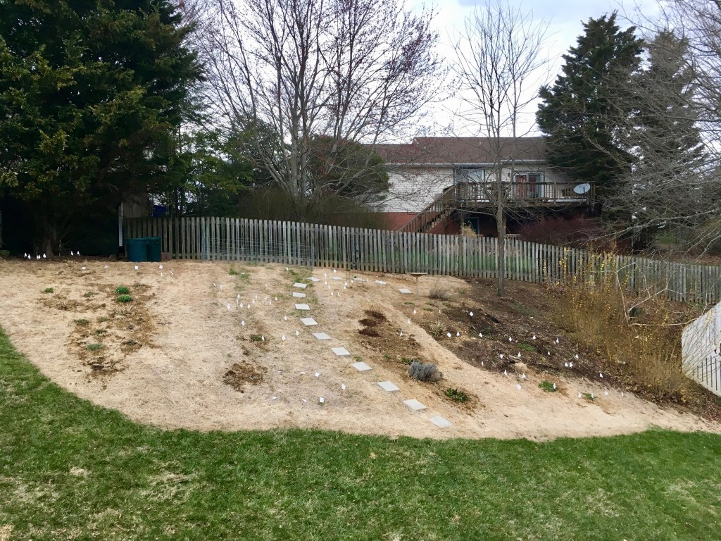 back hill before mulch
