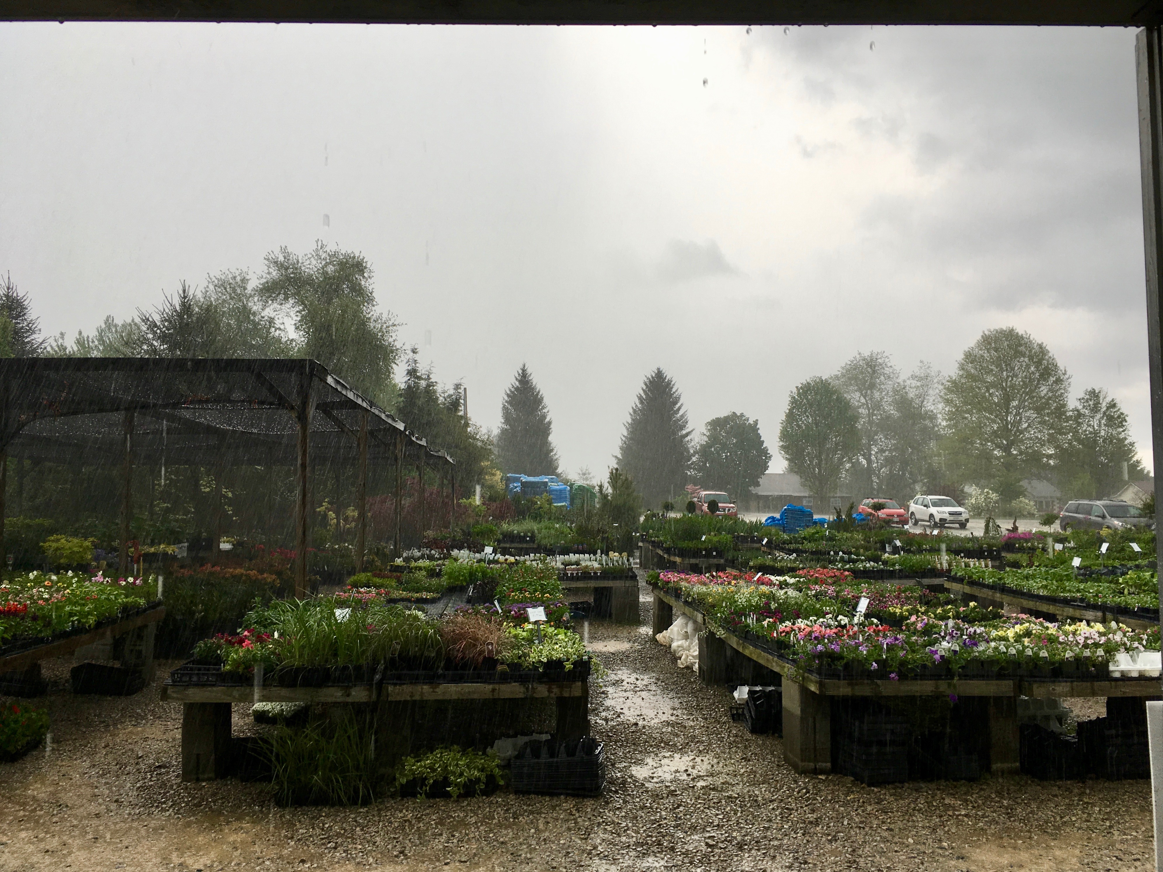 spring storm at crow's nest