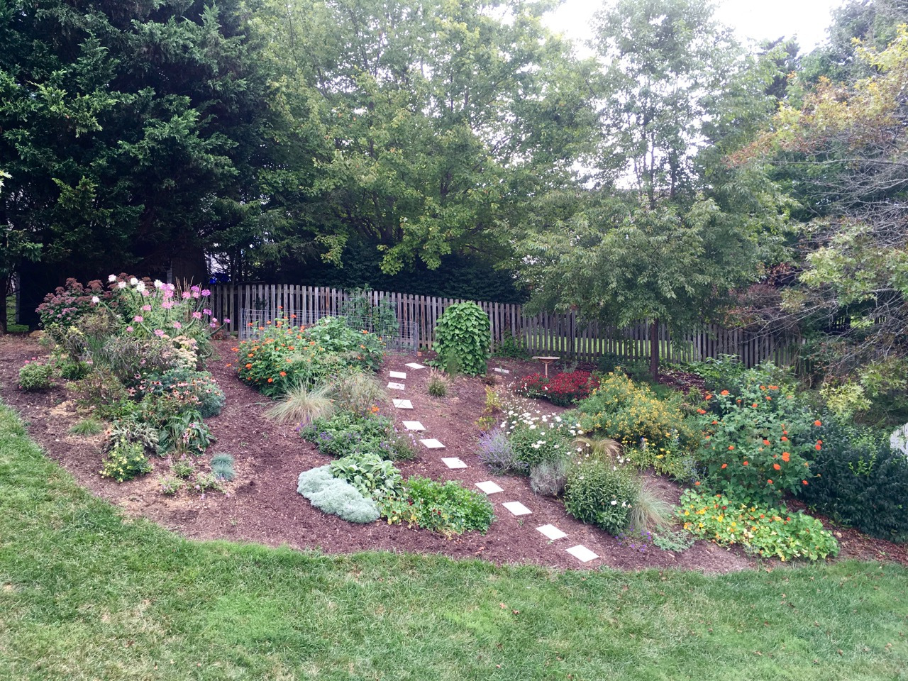 9 Sep 1 back hill garden