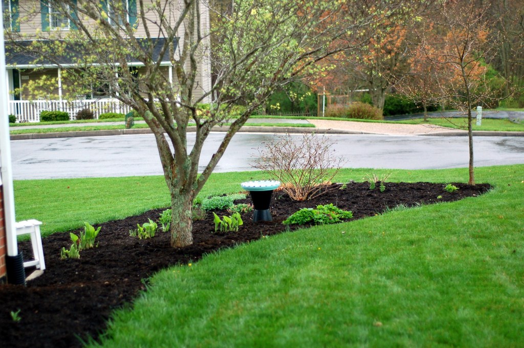 34 front lobe from side of house