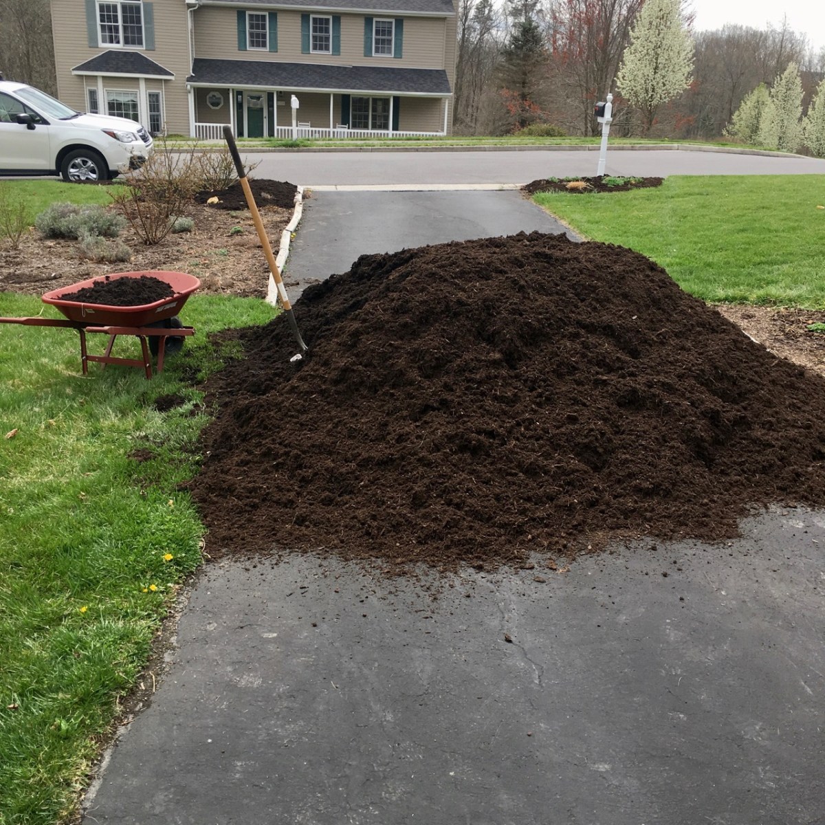 after 10 barrows full removed