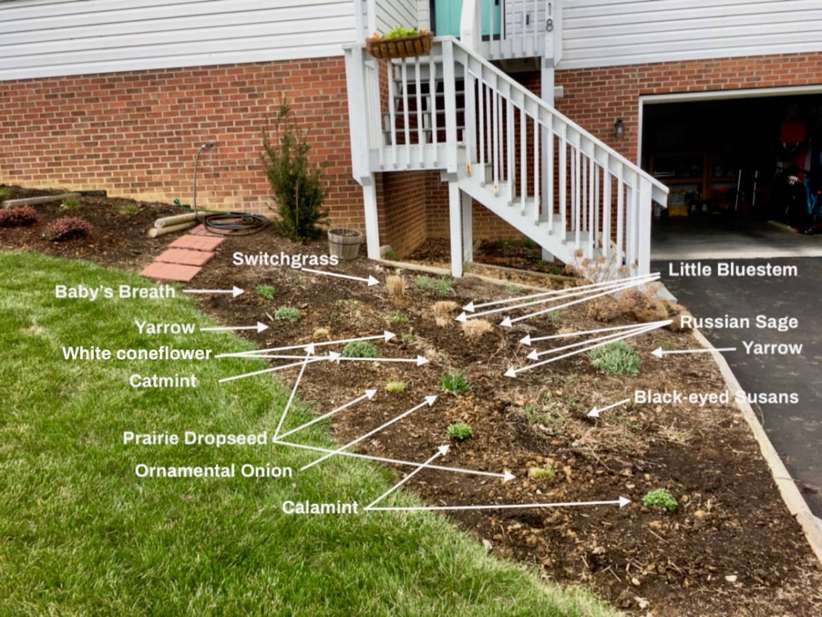 front bed after plantings