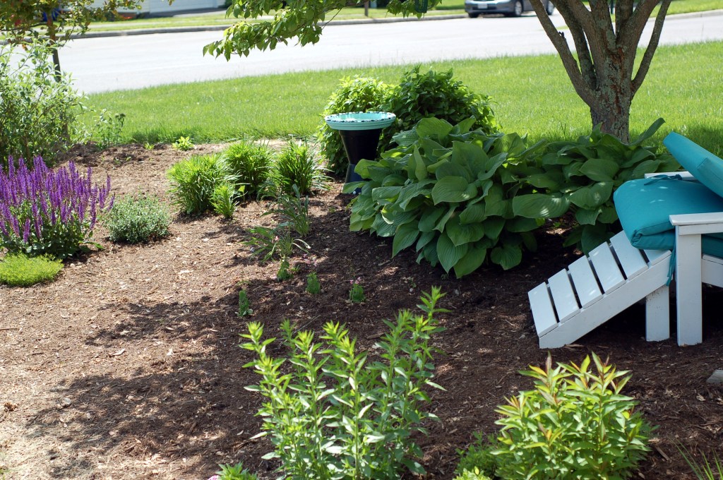 front under dogwood72