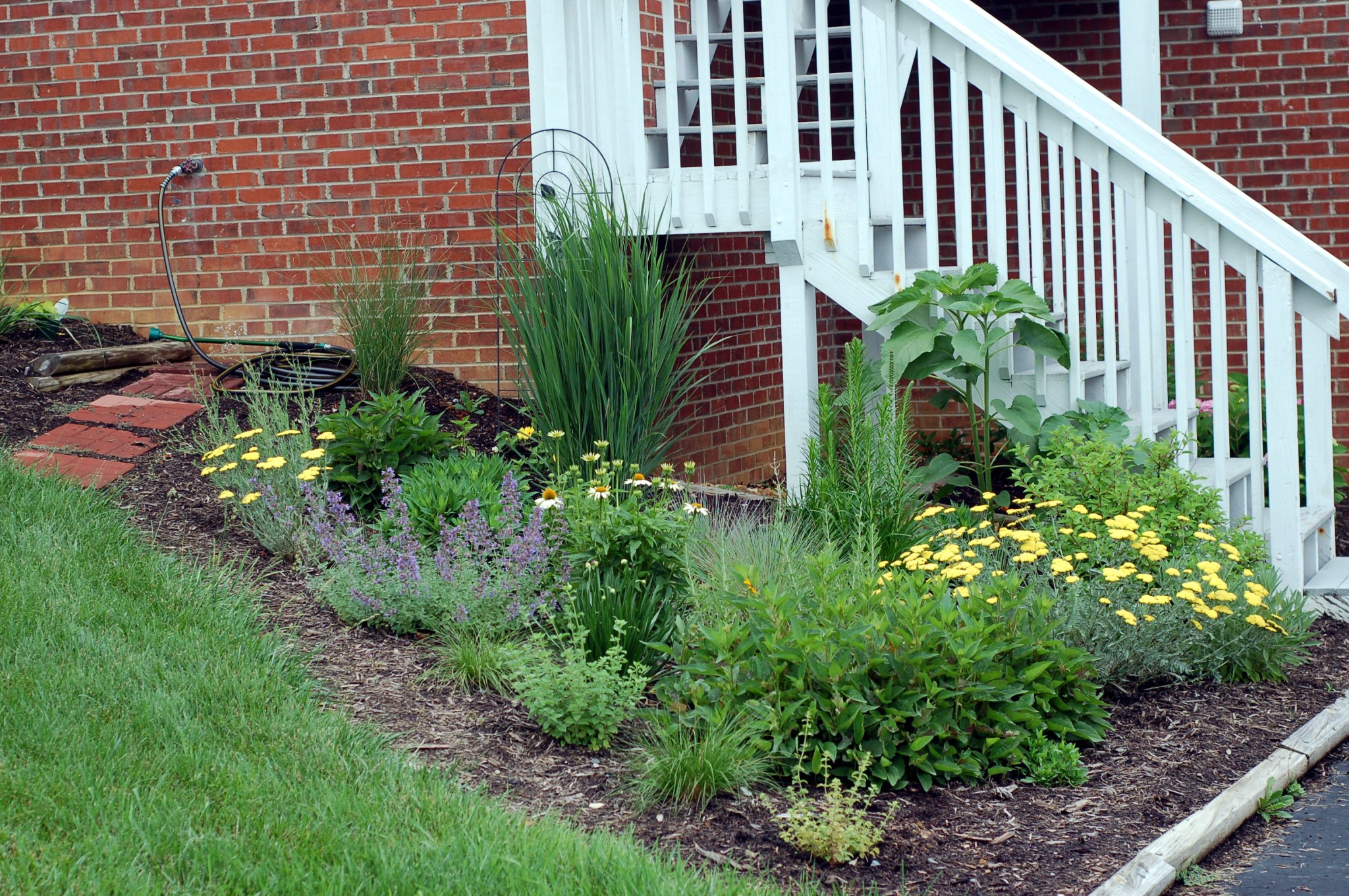 front bed June 9 0018