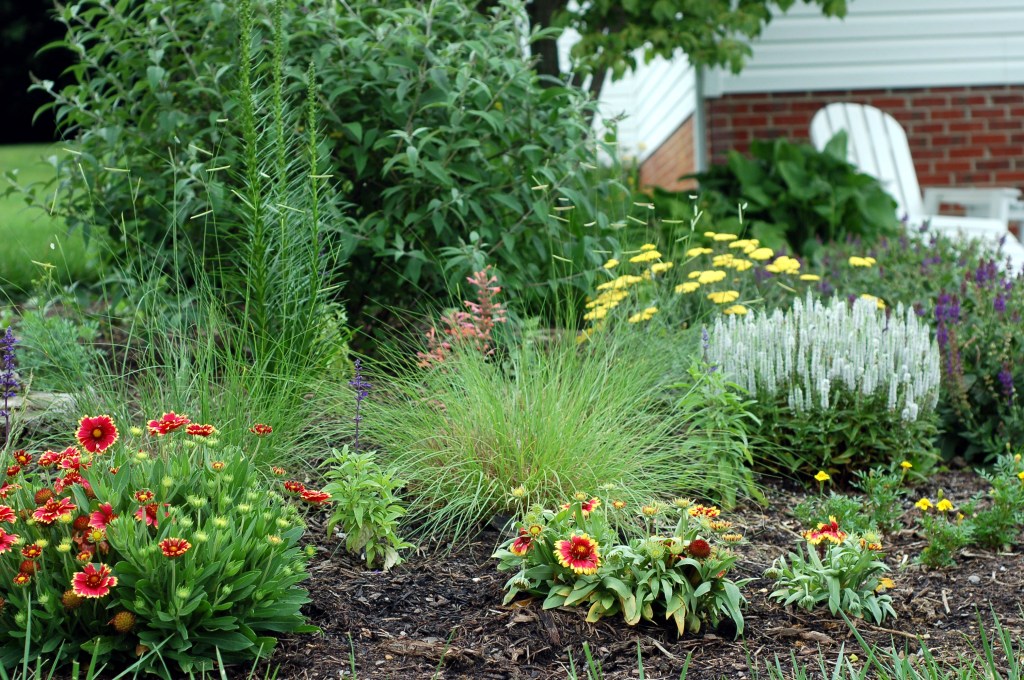 front lobe June 9_0016