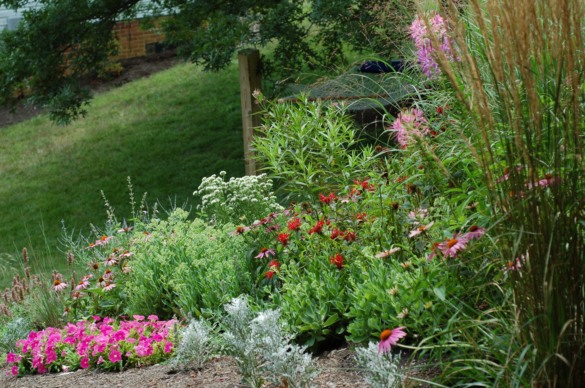 back bed and hammock_0047