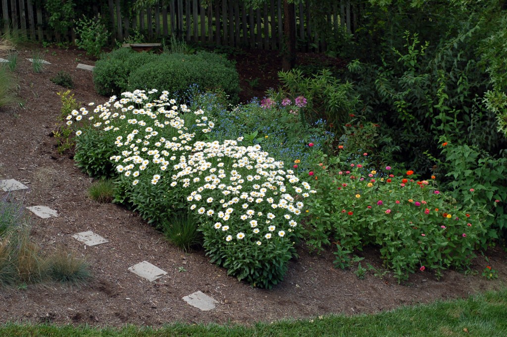 back wildflower bed full view_0094
