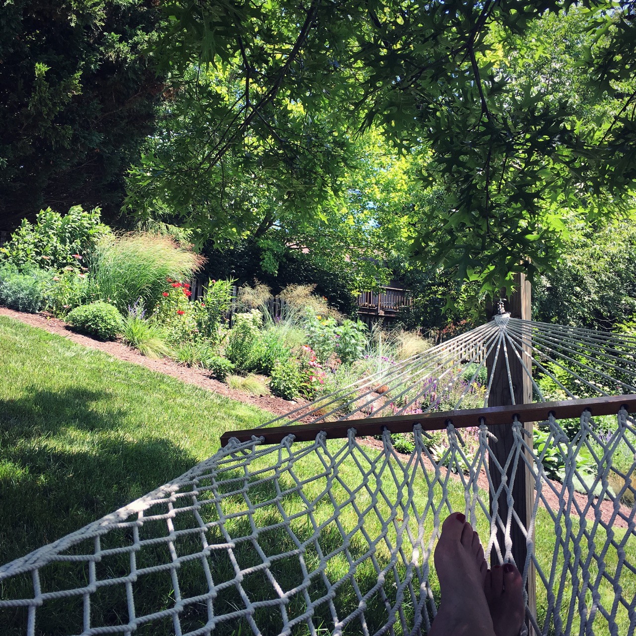 hammock with me in it