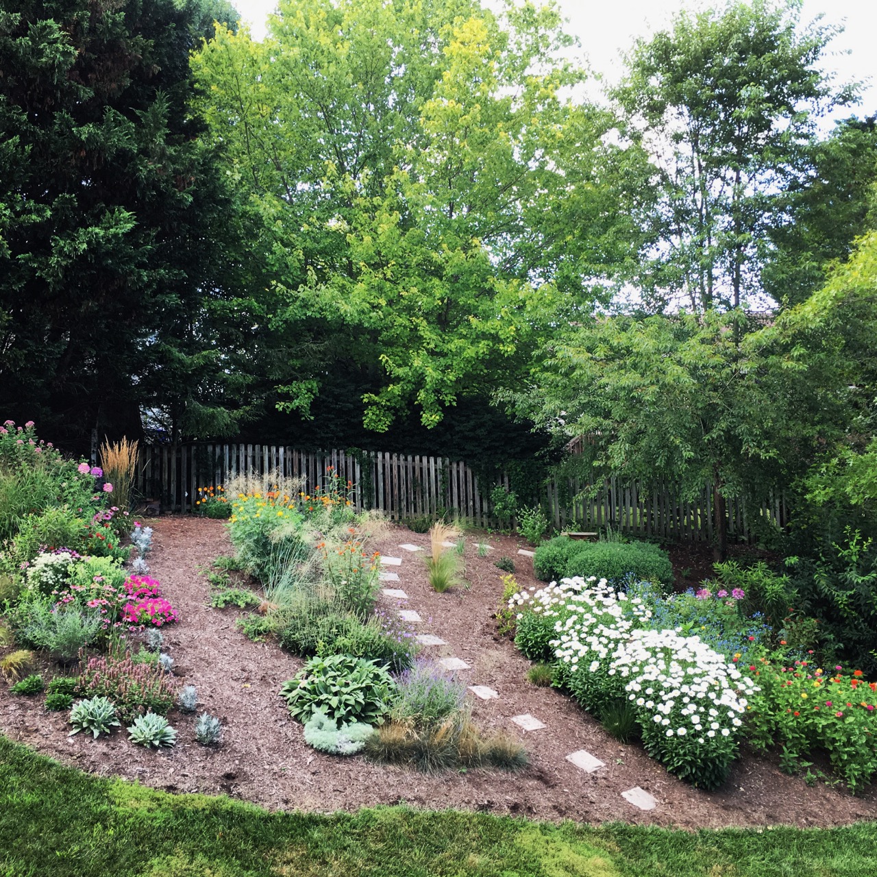 July 27 back garden_1857